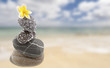 empilement de pierres zen sur plage