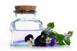 lotion of pansies and violets