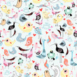 texture of the birds