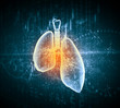 Schematic illustration of human lungs