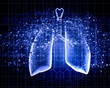 Schematic illustration of human lungs