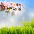 natur