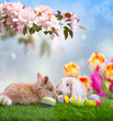 ostern