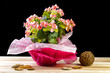 Colorful bouquet of various flowers