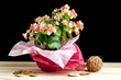 Colorful bouquet of various flowers
