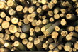 Photo: Dry firewood in a pile for furnace kindling Dry firewood in a pile for furnace kindling