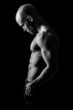 Photo: shirtless and fit male shirtless and fit male