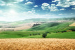 summer landscape of Tuscany, Italy