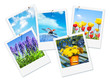 Foto: Frühlingsbilder, endlich Frühling!, Sofortbild, isoliert Frühlingsbilder, endlich Frühling!, Sofortbild, isoliert