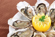 Oysters on table close-up