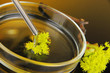 Chemical research in Petri dish on dark orange background