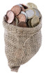 Euro Coins in a small bag