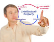 Intellectual property diagram