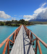 The Bridge