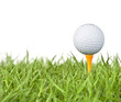 golf ball