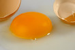 A Broken Egg