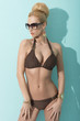 sensual lady with  bikini and sunglasses