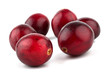 Cranberries closeup isolated on white background