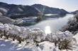 Photo: 雪景色の宮ヶ瀬湖畔 雪景色の宮ヶ瀬湖畔