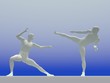 Surreal kung-fu - 3D render