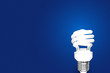 Compact Fluorescent Bulb on blue background