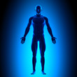 Anatomy Body - Front View - Blue concept