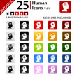 Human icons set, psychological typology button series