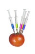 Injection into fresh red tomato