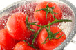 Tomatoes-on-vine-water-splash