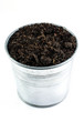 Soil in bucket