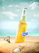 Bottle of chilled beer