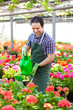 Employee working in a greenhouse