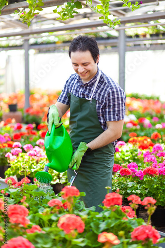 Photo: Employee working in a greenhouse Employee working in a greenhouse