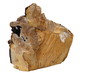Holzstück mit Baumschwamm