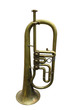 trumpet