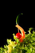 Dekoration mit Salat