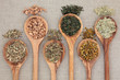 Healing Herbs