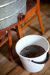 collecting honey