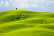 Spring Tuscany