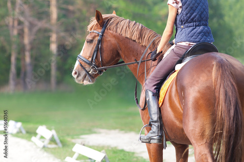 Photo: Dressage horse Dressage horse