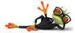 Fun frog