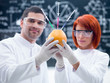 laboratory grapefruit experiment