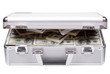 The metal case with dollars and euros