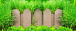 Wooden fence and green grass