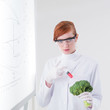 researcher injecting a broccoli