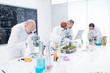 under microscope analysis