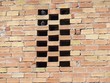 piccioni tra i mattoni di un muro