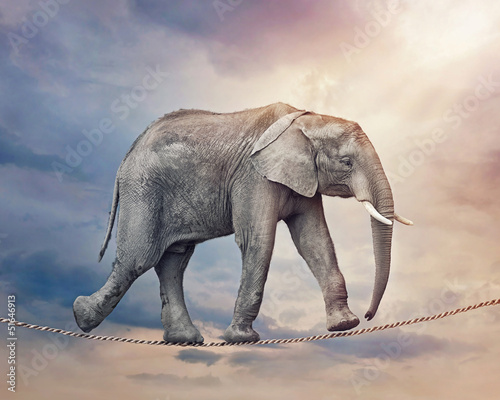 Photo: Elephant on a tightrope Elephant on a tightrope