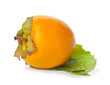 Persimmons with green leaves