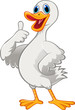 Cute duck cartoon with thumb up